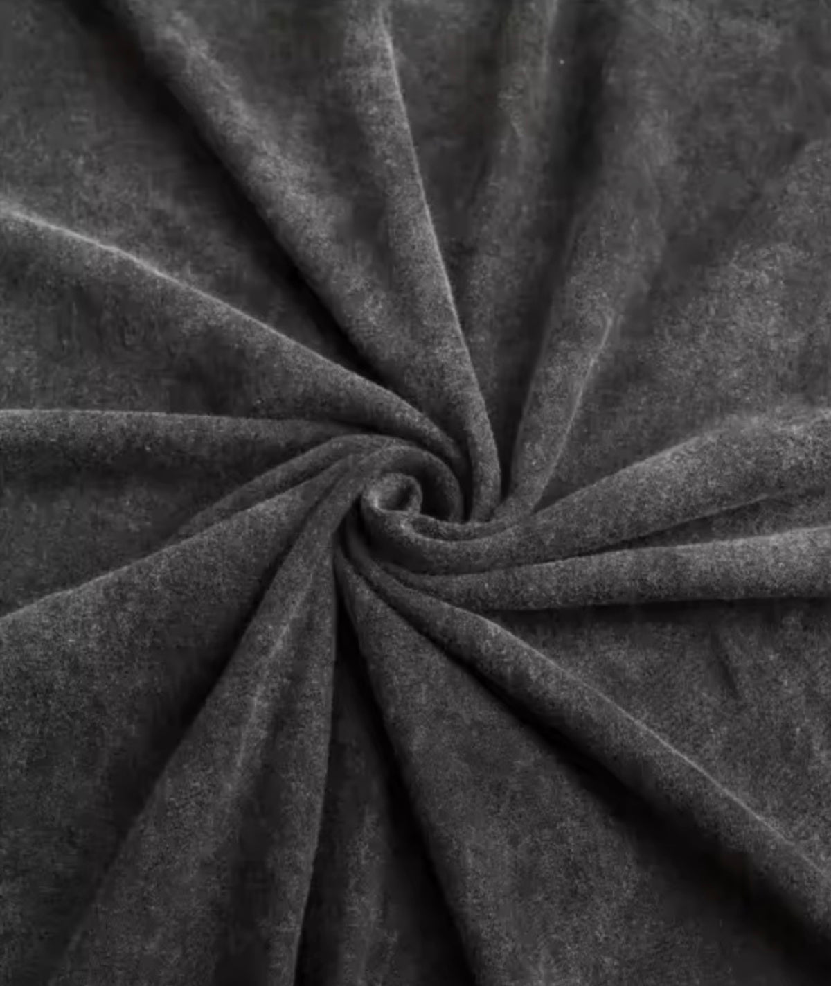 "Scarlet Motif" Graphic T-Shirt